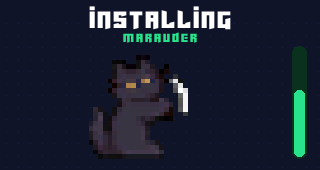 Installing a firmware